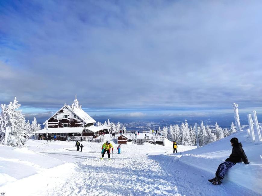 Osrodek Wypoczynkowy Zapalenica Bed and Breakfast Szczyrk Exteriör bild